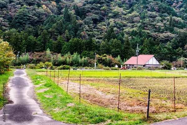 Obraz 岐阜県・関市のモネの池を訪ねて