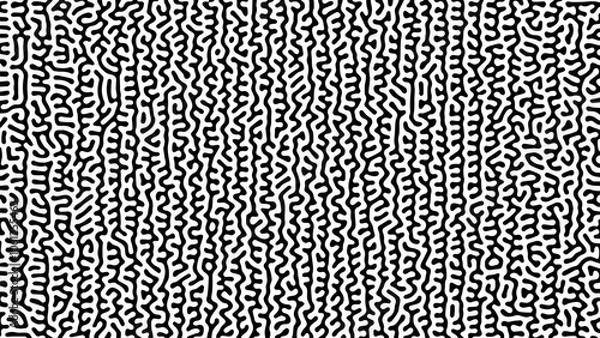 Fototapeta Black and White Abstract Vertical Lines Doodle Background Wallpaper