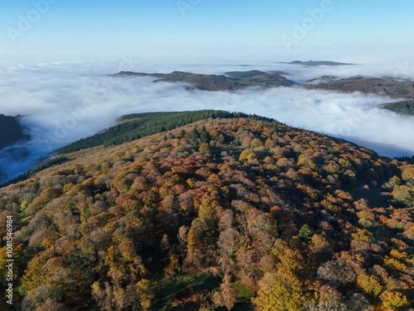 Fototapeta Aerial view of Mont Beuvray in the Morvan in Burgundy, France, with the forest in autumn colours and clouds in the valleys