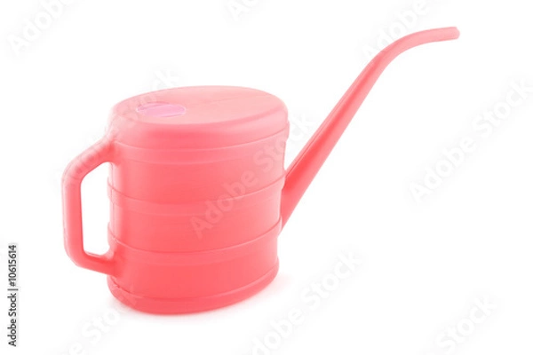 Obraz Red watering can