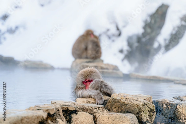 Obraz 地獄谷温泉