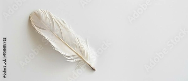 Fototapeta Elegant white feather on minimalist white background highlighting simplicity and tranquility wallpaper, banner