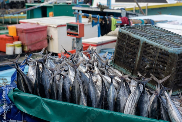 Obraz Trader's cart full of Tuna fish