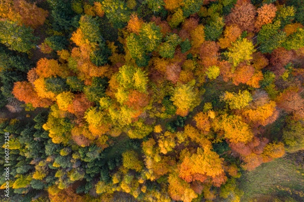 Fototapeta Beskid Sądecki Dolina Popradu Jesień