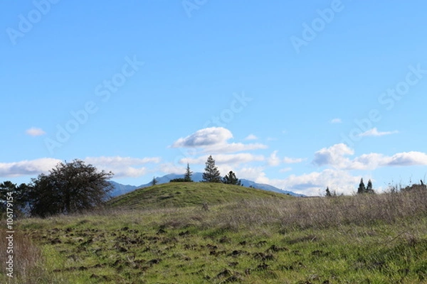 Fototapeta HIllside With Trees And White Clouds Overhead