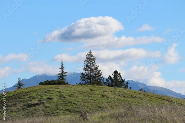 Fototapeta White Clouds Over Trees On Top Of HIll