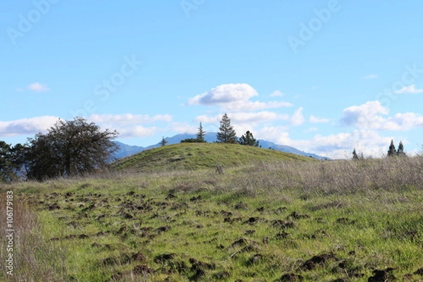 Fototapeta Trees On Top Of Hill