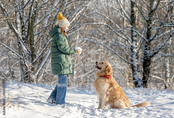 Fototapeta Small Girl With Golden Retriever Plays With Snow In Winter Forest