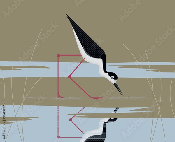 Obraz Black-nacked stilt