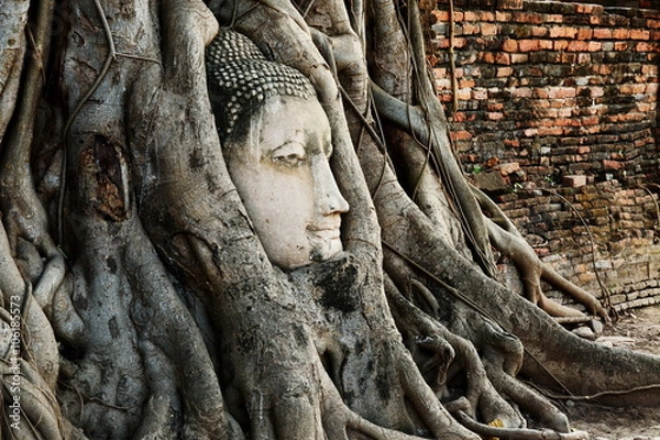 Fototapeta Head of Buddha Statue with the Tree Roots at Wat Mahathat, histo