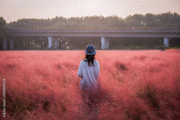 Fototapeta 粉黛乱子草と女性