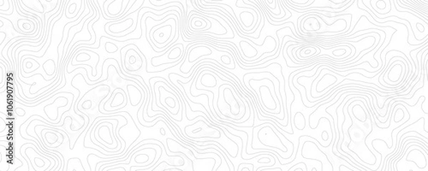 Fototapeta White topography clean fresh background vector format desktop wallpaper digital background 