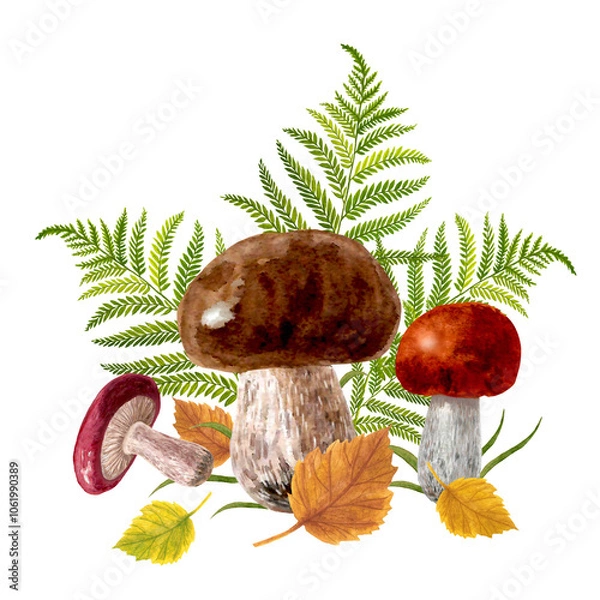 Fototapeta Mushrooms and leaves watercolor composition