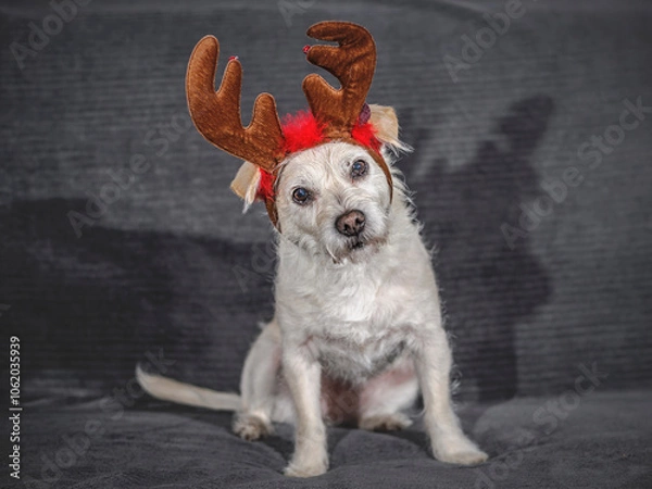 Obraz terier przebrany za renifera