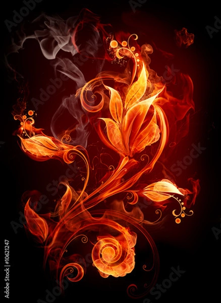 Fototapeta Fire Flower