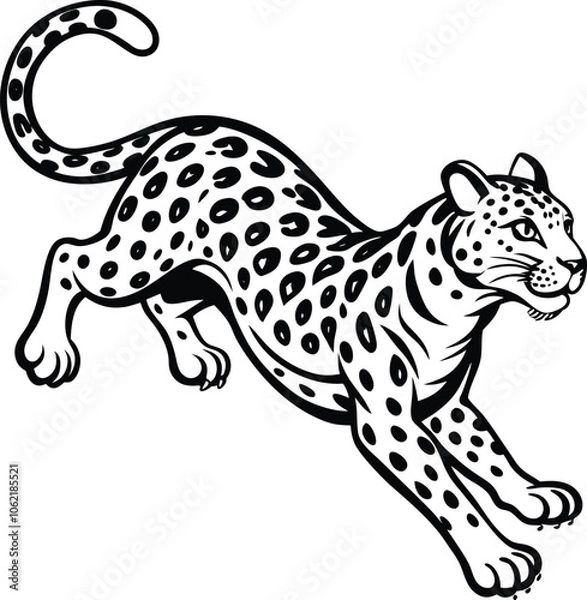Fototapeta snow leopard jump on white background