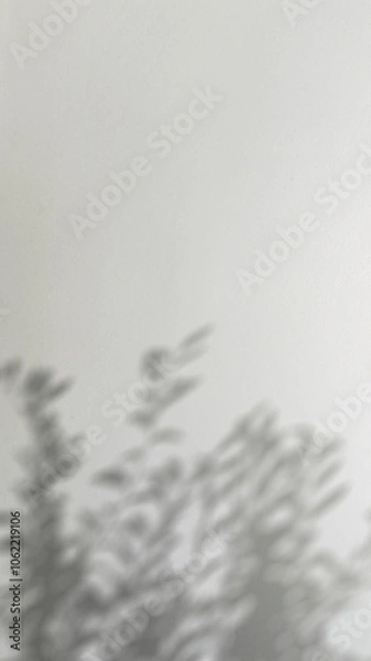 Fototapeta Abstract silhouette tree branchs on white wall in the evening sunlight background, beautiful natural sun rays leaves shade waving in morning wind, blur bokeh plant shadow light in sunset spring nature
