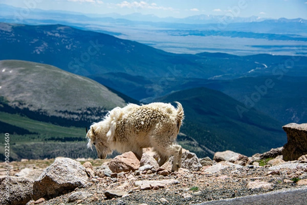 Fototapeta Mount Blue Sky