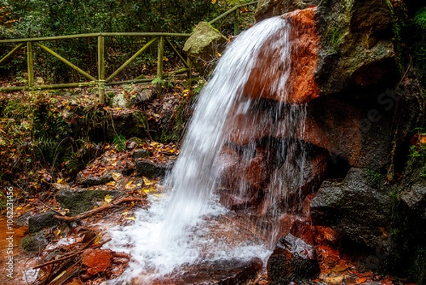 Obraz Wasserfall vor Holzzaun