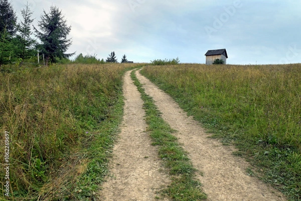 Fototapeta Barn on a meadow among forest grasses on top of a hill near a field road