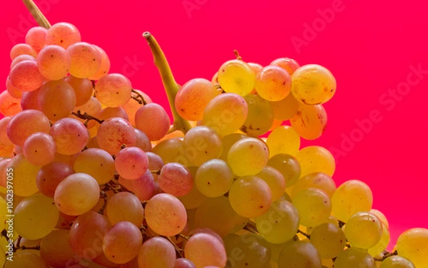 Obraz Kishmish (sultana) grapes on a red background