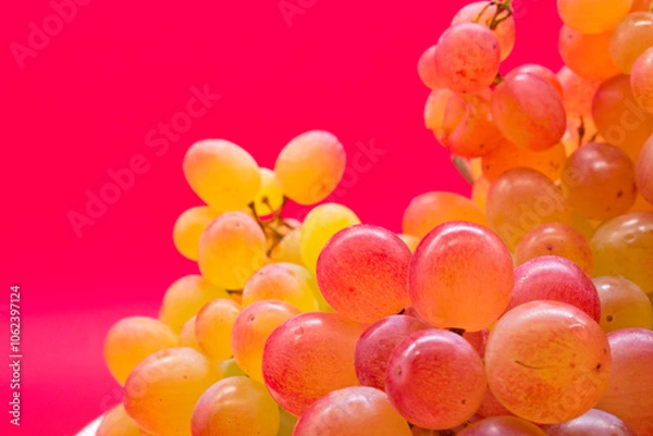 Obraz Kishmish (sultana) grapes on a red background