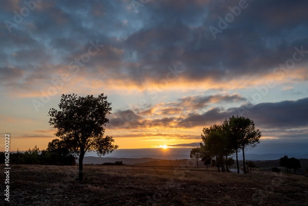 Obraz un soleil couchant entre nuage et arbres isolés