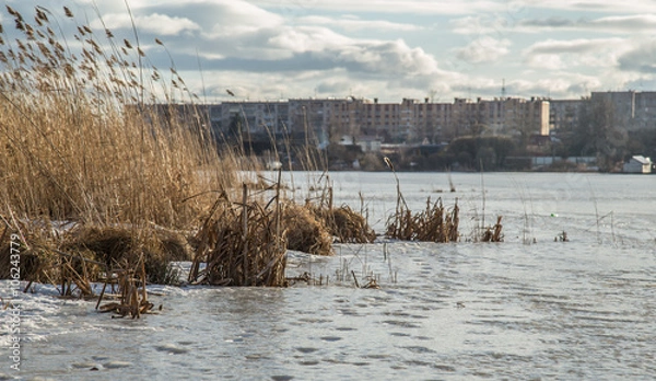 Obraz Трава на озере