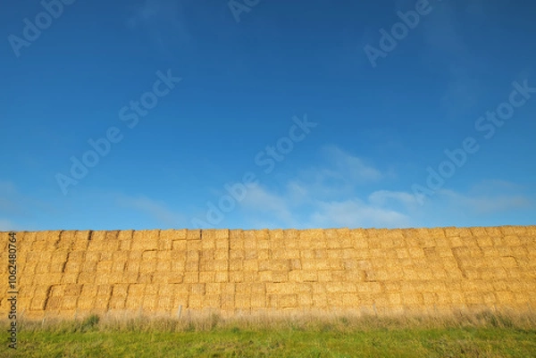 Obraz A tall row of hay bales against a clear blue sky