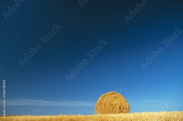Obraz Round bale of hay against a clear blue sky