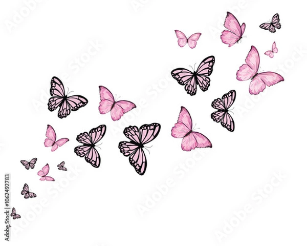Fototapeta flock new butterfly pink art vector butterfly	
