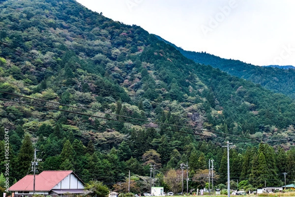 Fototapeta 岐阜県・関市のモネの池を訪ねて