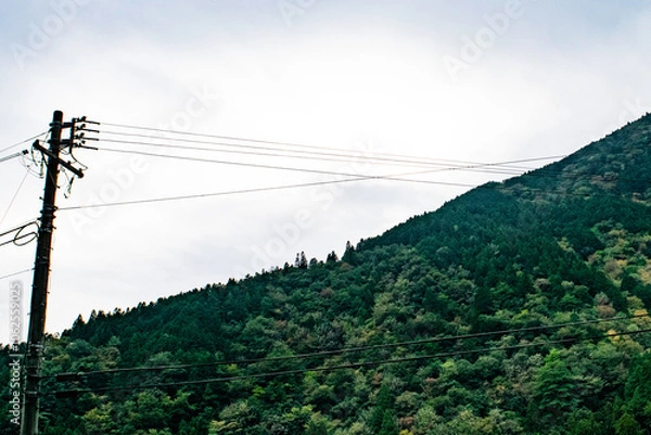 Obraz 岐阜県・関市のモネの池を訪ねて