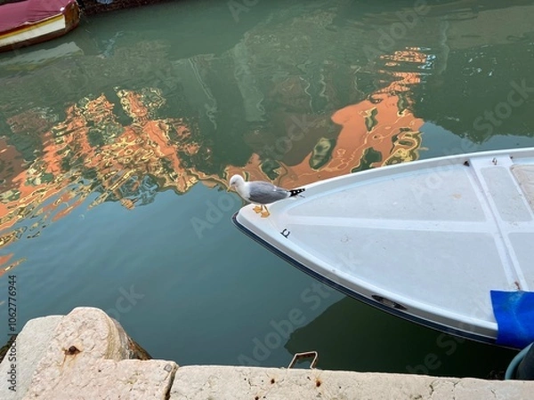 Obraz Gabbiano a Venezia