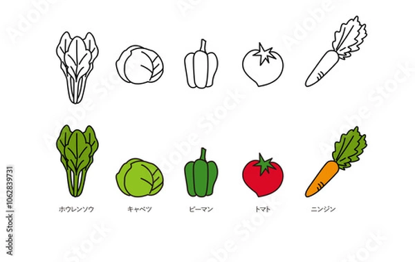 Obraz 図版_イラスト_012_野菜