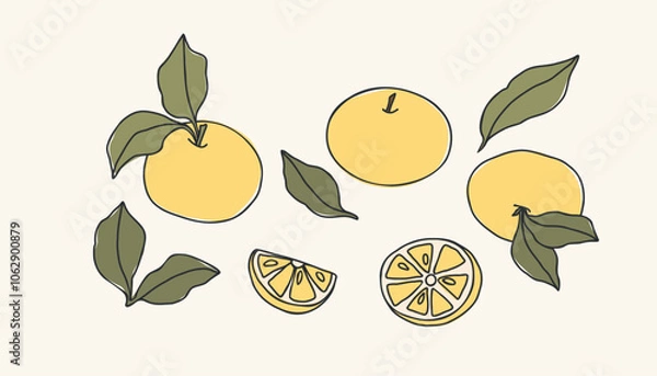 Fototapeta Line art yuzu fruit branches collection