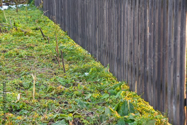 Fototapeta Wooden fence made of grey picket fence.