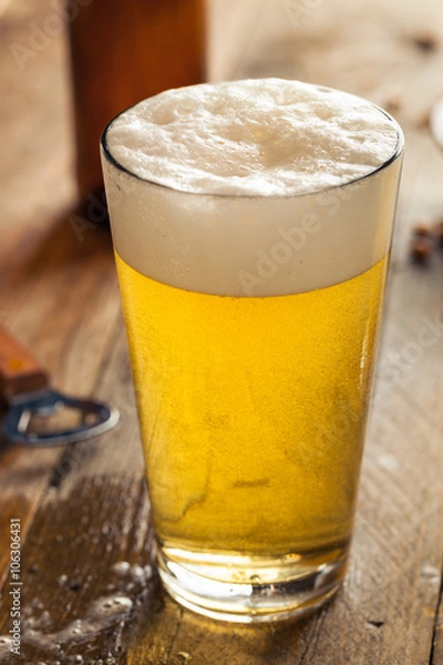 Obraz Refreshing Summer Pint of Beer