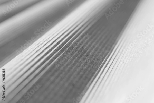 Fototapeta Lines, slope (линии, наклон)