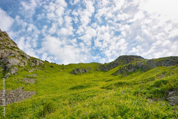 Fototapeta Idyllic summer landscape with hiking trail in the mountains with beautiful fresh green mountain pastures and clouds.