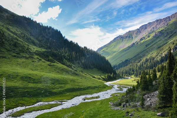 Fototapeta Idyllic summer landscape with hiking trail in the mountains with beautiful fresh green mountain pastures, river with reflection and forest.