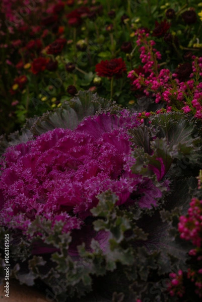 Obraz pink flowers in a garden