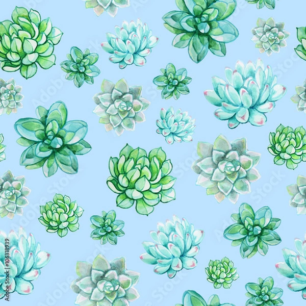 Fototapeta Succulent seamless pattern on a light blue background