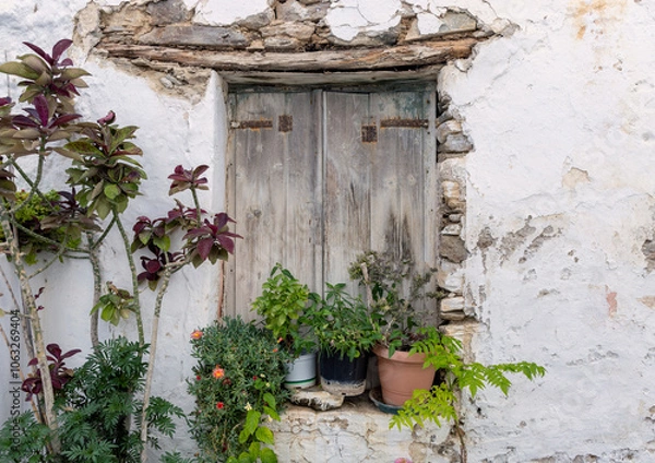 Obraz A rustic window on a Paros cottage features a mix of colorful flowers and lush greenery, showcasing the natural beauty of the Cyclades under clear blue skies.