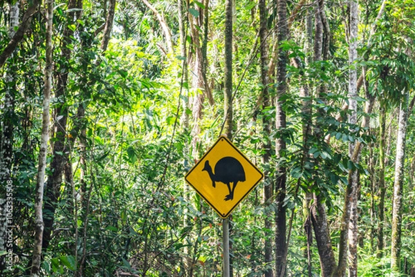 Obraz Cassowary warning sign on road in Daintree Rainforest, Queensland, Australia
