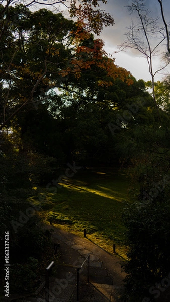 Fototapeta 青蓮院門跡