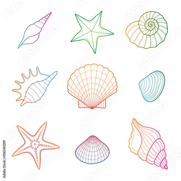 Obraz Shells and starfish set