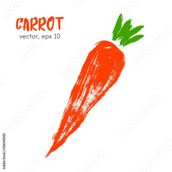 Obraz Sketched vegetable illustration of carrot. Hand drawn brush food
