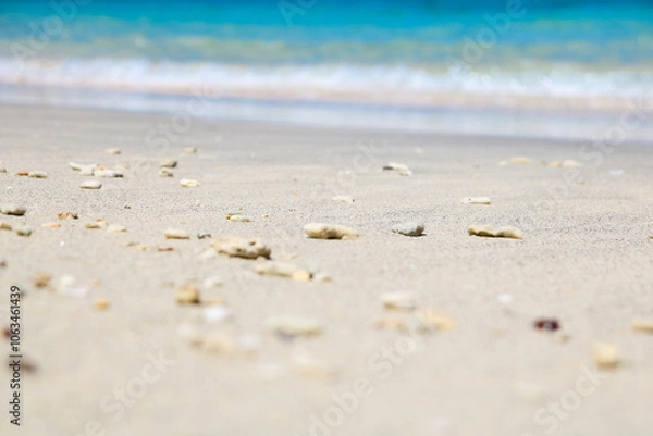 Fototapeta sand castle on the beach