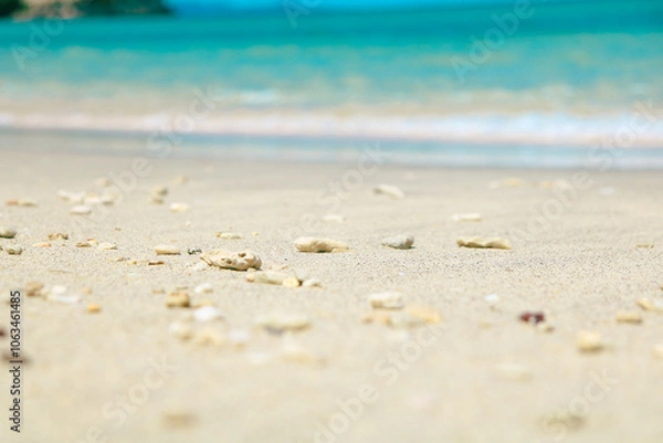 Fototapeta sand beach and sea